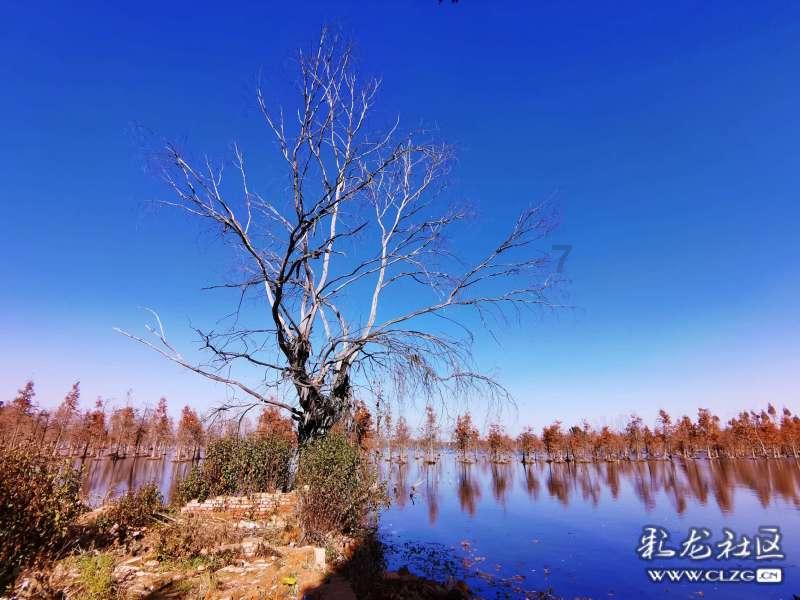“知县”和“县令”有什么不同？一字之差，两者却是天差地别